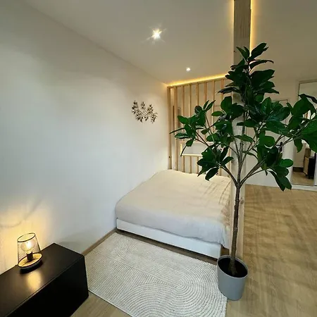 Apartmán L'echappee Alsacienne - In Saint-louis *